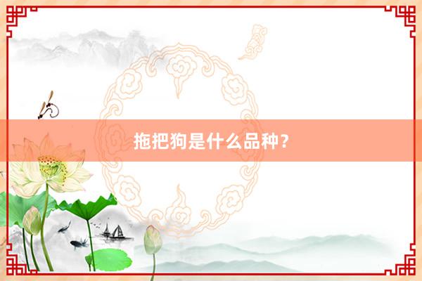 拖把狗是什么品种？