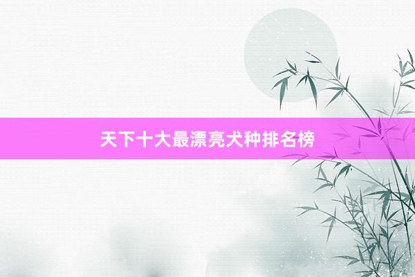 天下十大最漂亮犬种排名榜